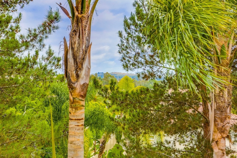 1693 Docena Road Carlsbad, CA 92011 - Photo 15 of 25