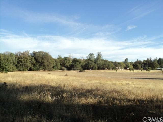 0 Los Ranchos Oroville, CA 95965 - Photo 14 of 23 Gallery Image 14