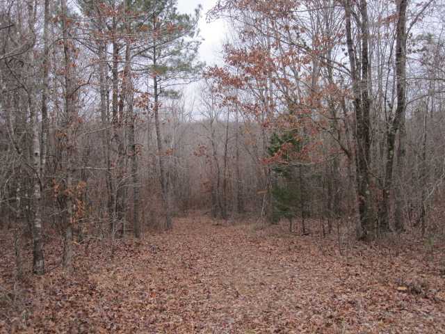 1 Sawmill Road Potts Camp, MS 38659 - Photo 13 of 20 Gallery Image 13