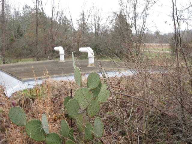 2036 Lawton Road Selmer, TN 38375 - Photo 14 of 17 Storm cellar (seller has a bed in it) - located in back yard.