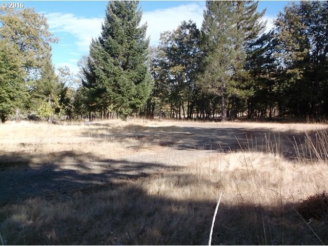 420 Sherier Road Cave Junction, OR 97523 - Photo 8 of 21