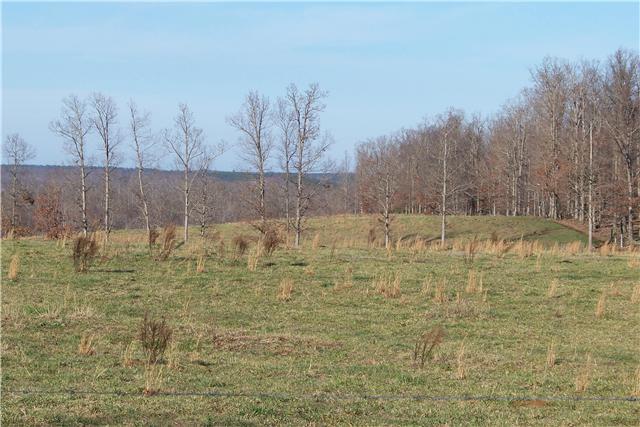 7560 Topsy Road Waynesboro, TN 38485 - Photo 29 of 30 Gallery Image 29