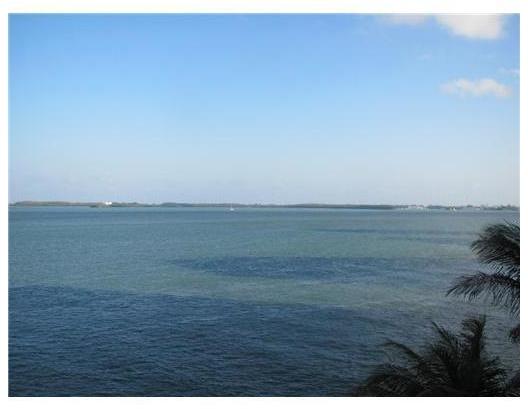 808 Brickell Key Drive, Unit 404 Miami, FL 33131 - Photo 7 of 10