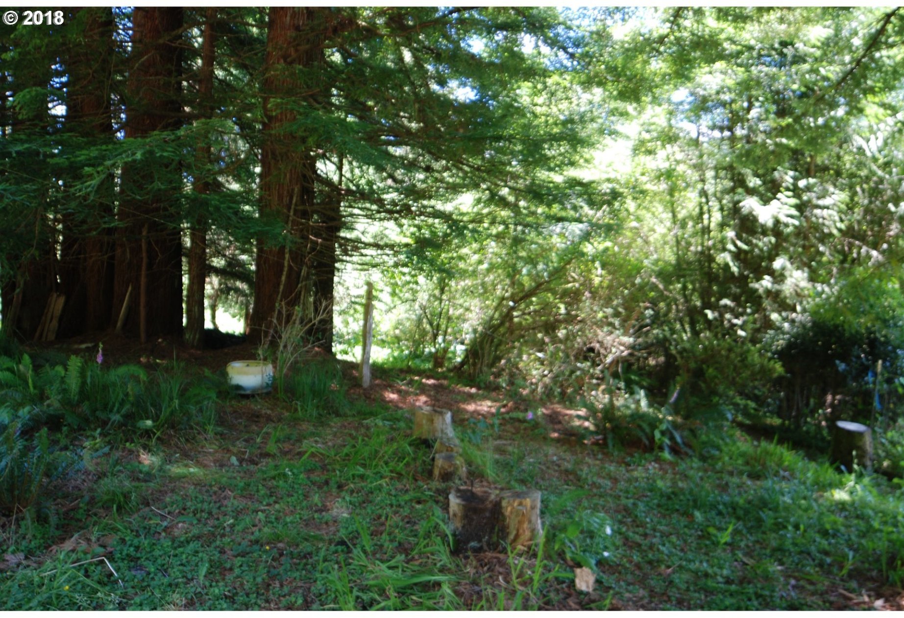 866 Deans Creek Road Reedsport, OR 97467 - Photo 15 of 30