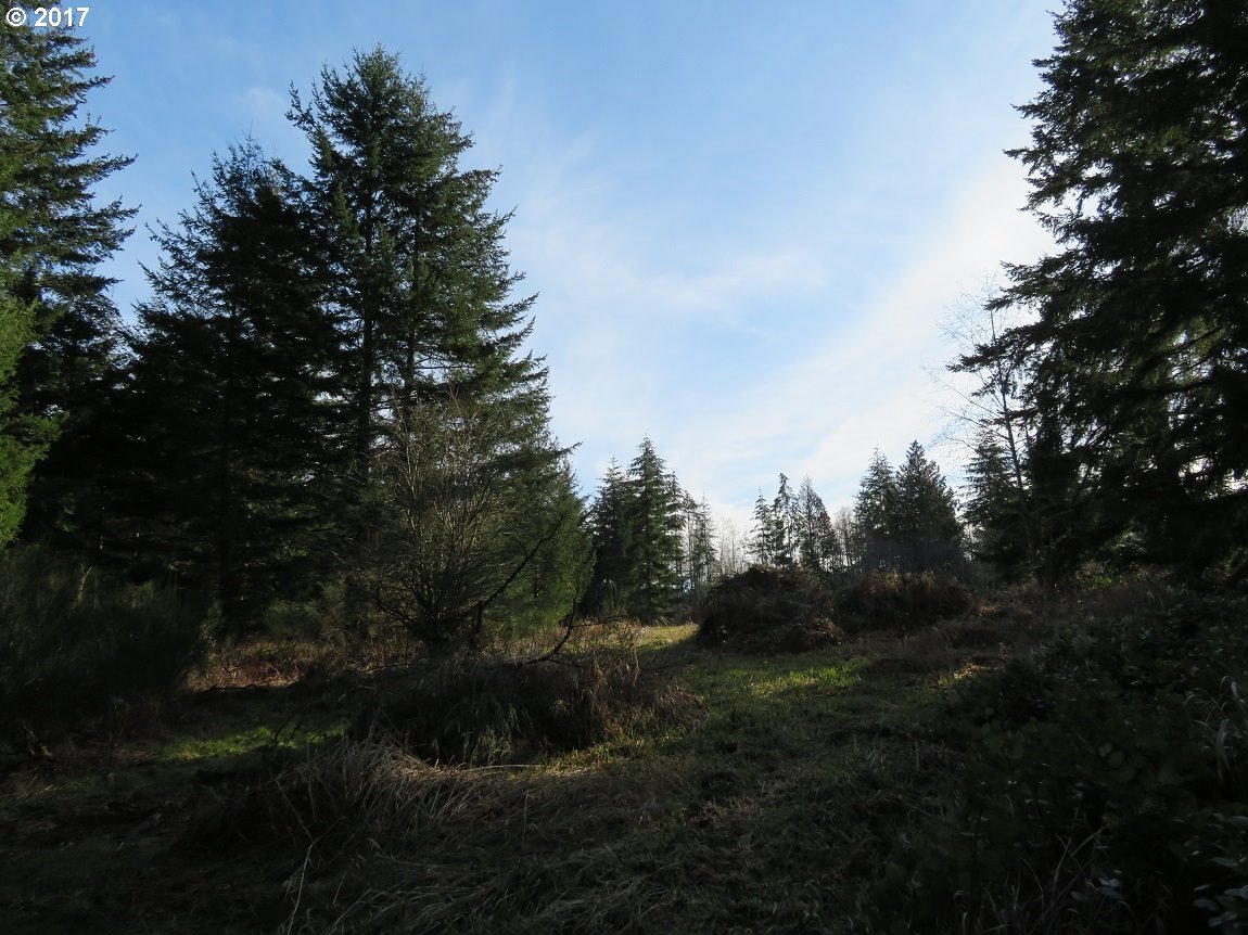 Cousins Road, Unit 2 Chehalis, WA 98532 - Photo 19 of 32