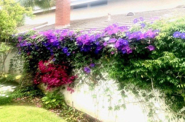 21 Morning Dove Irvine, CA 92604 - Photo 26 of 27