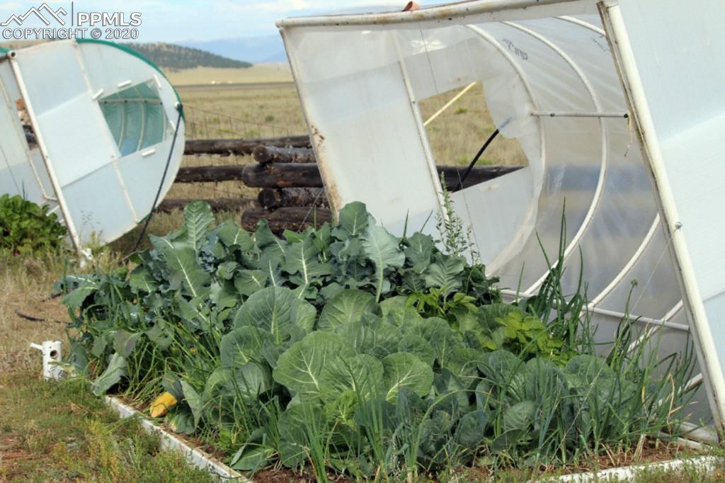 3545 High Chaparral Road Lake George, CO 80827 - Photo 23 of 26 Close up of garden/greenhouse - self watering