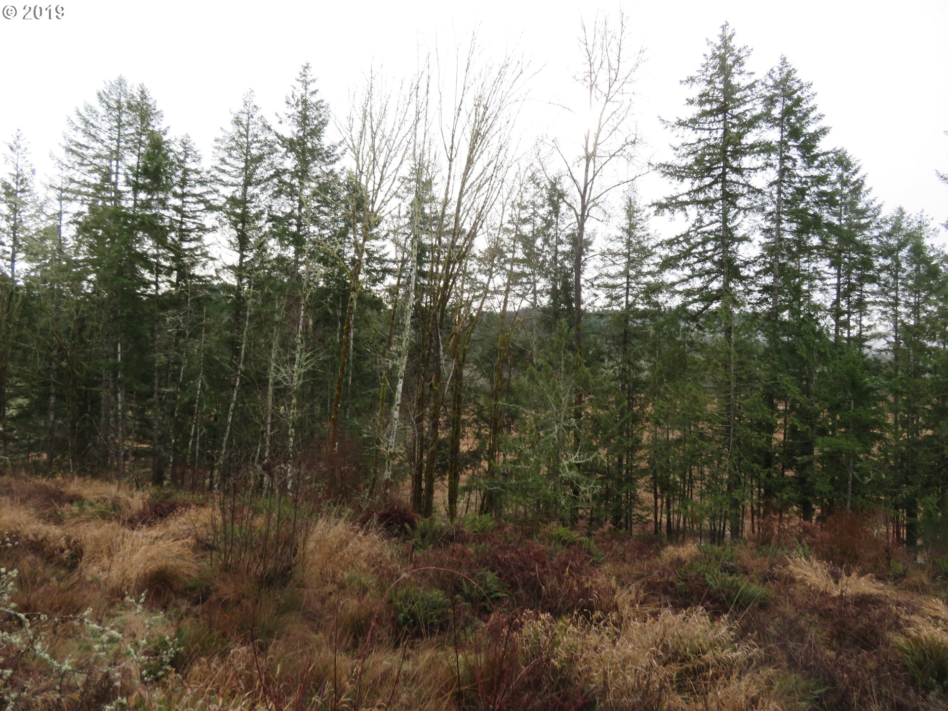 505 State Route Toledo, WA 98591 - Photo 8 of 32