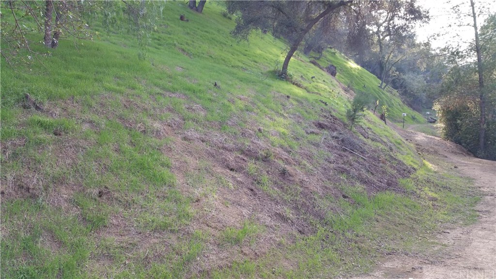 1 Burson Road Topanga, CA 90290 - Photo 9 of 10 View along easement away from Topanga Skyline Drive.