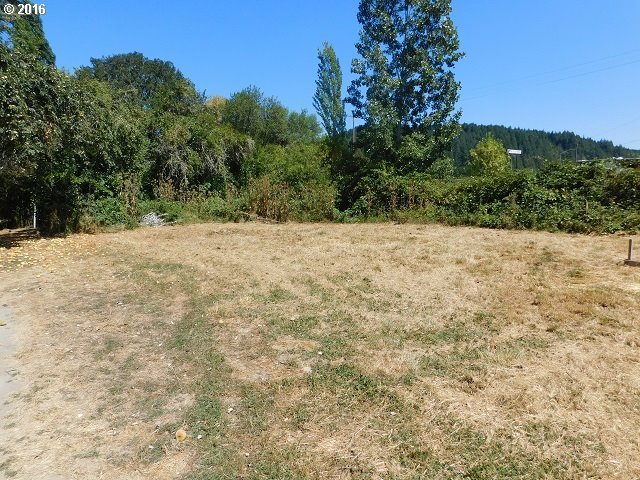 180 Bear Creek Road Cottage Grove, OR 97424 - Photo 19 of 22 Gallery Image 19