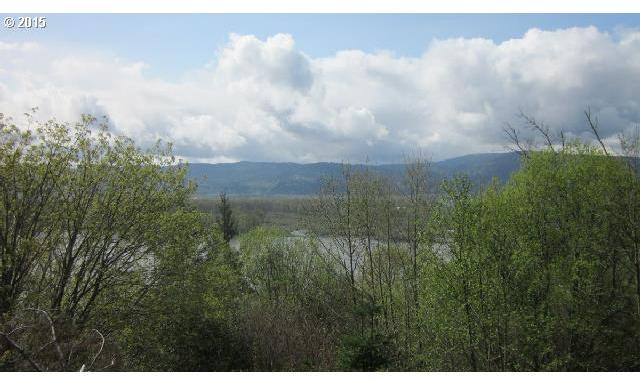 Maple Ridge Road, Unit 18 Cathlamet, WA 98612 - Photo 3 of 16 Gallery Image 3