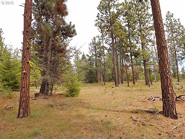 Turkey Run Road Goldendale, WA 98620 - Photo 4 of 12 Gallery Image 4
