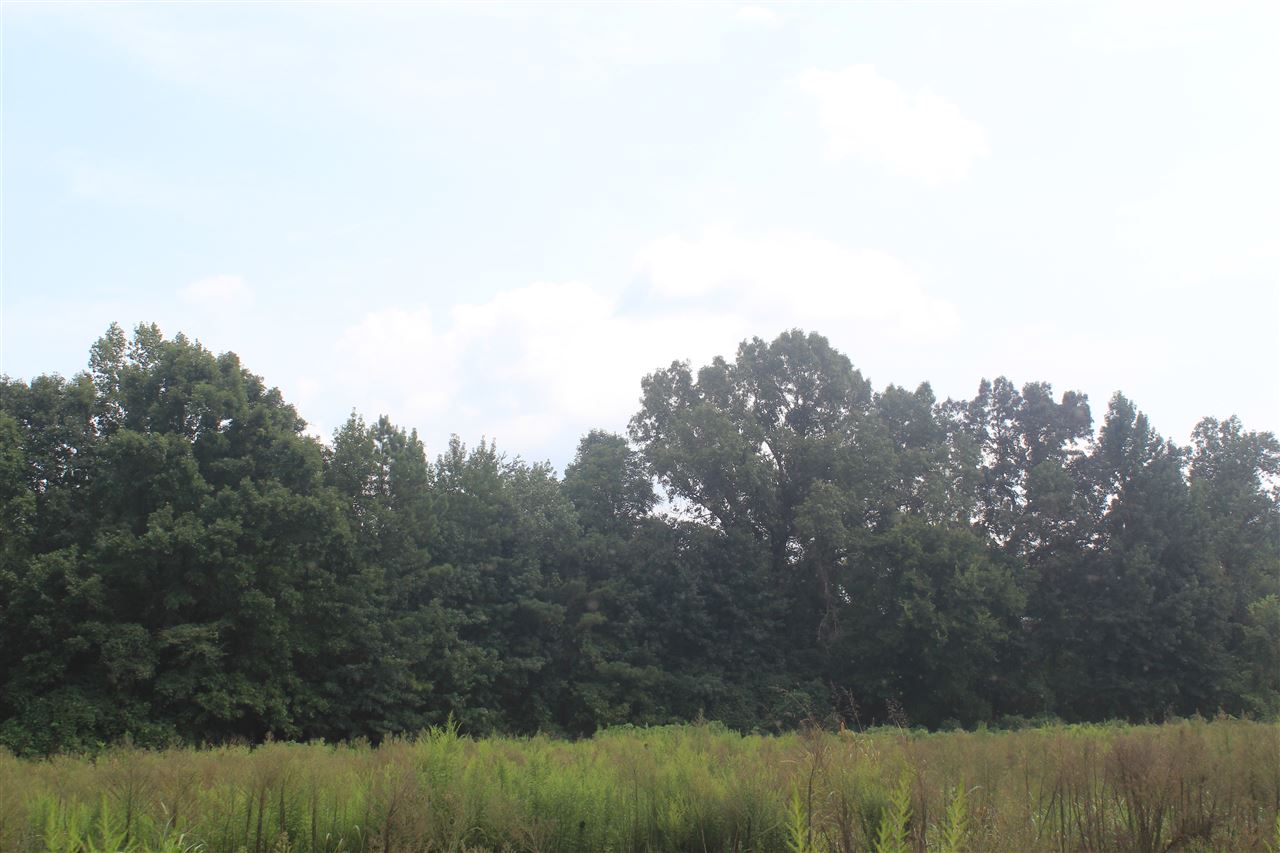 0 Robert Ford Road Waterford, MS 38685 - Photo 19 of 25