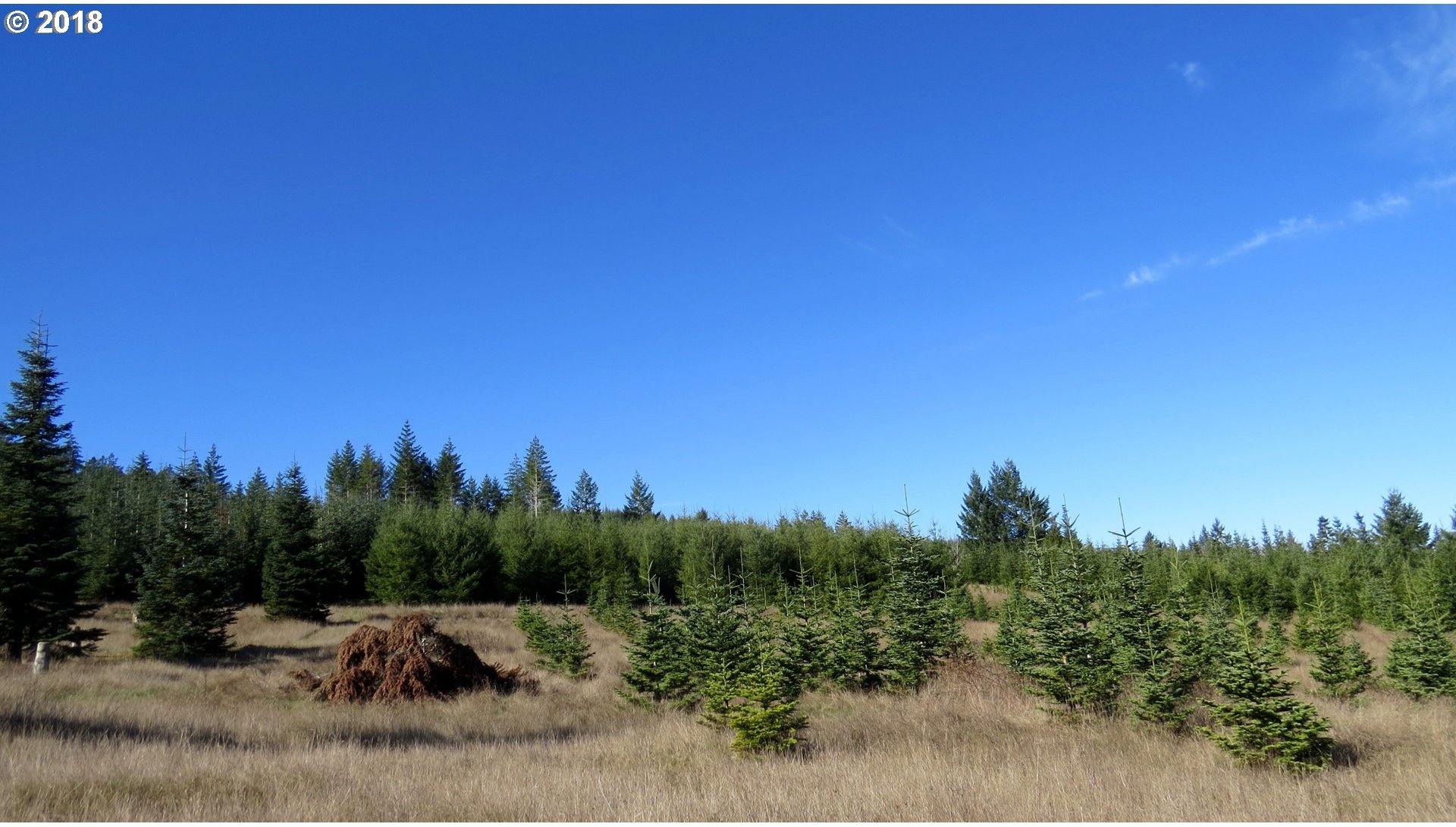 6567 Boswell Road Yoncalla, OR 97499 - Photo 13 of 17