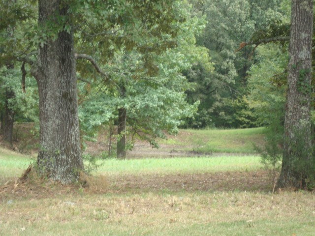 334 Hughes Road East Jackson, TN 38305 - Photo 12 of 25