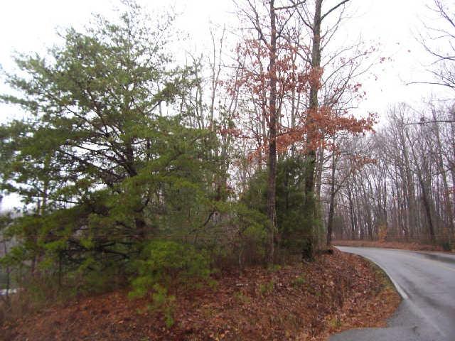 90 C CC Road Kingston Springs, TN 37082 - Photo 6 of 10 Gallery Image 6