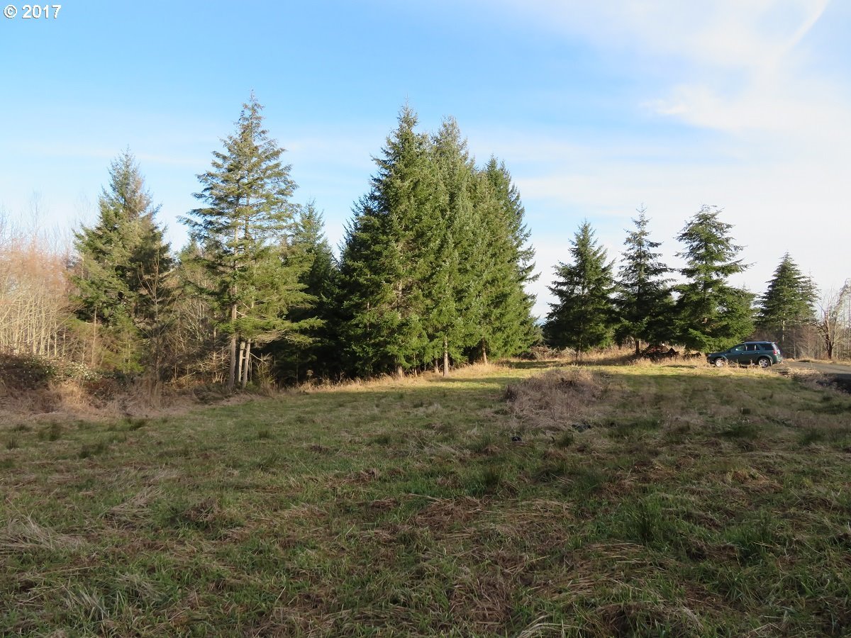 Cousins Road, Unit 2 Chehalis, WA 98532 - Photo 18 of 32