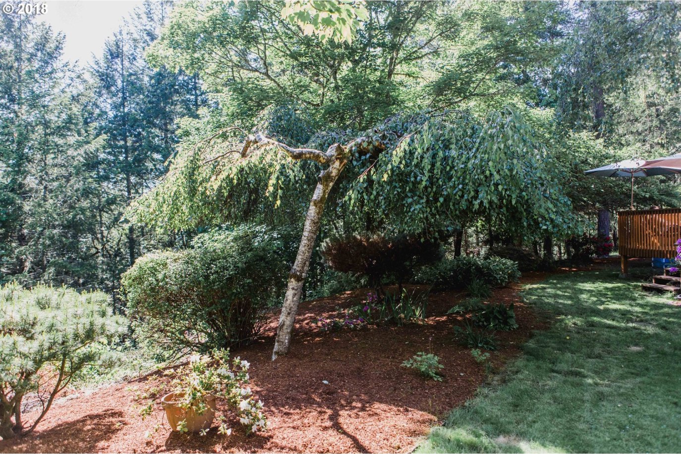 7156 South Myrtle Road Myrtle Creek, OR 97457 - Photo 18 of 32 Gallery Image 18