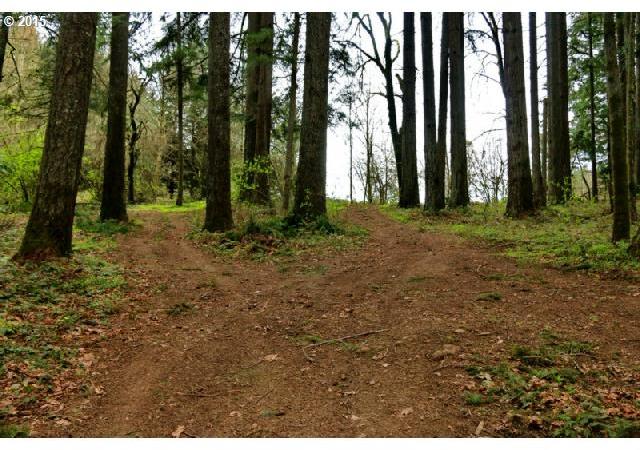 0 Southwest Labrousse Road, Unit 4 Sherwood, OR 97140 - Photo 1 of 8