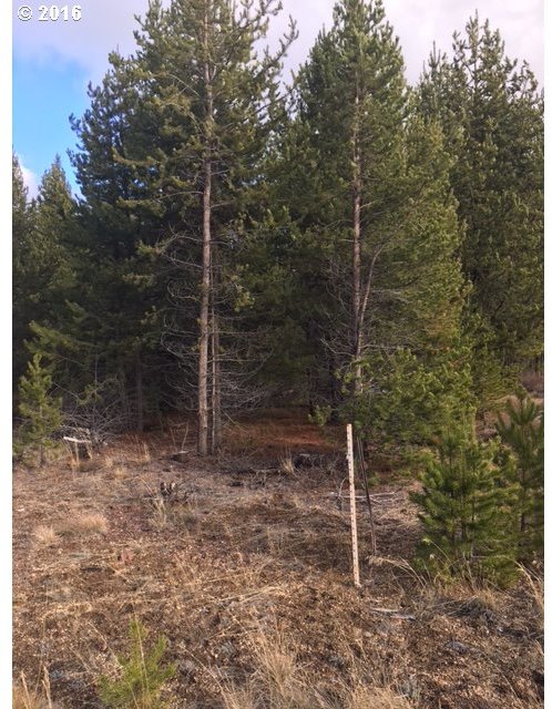 97 Hwy Crescent Crescent, OR 97733 - Photo 4 of 7