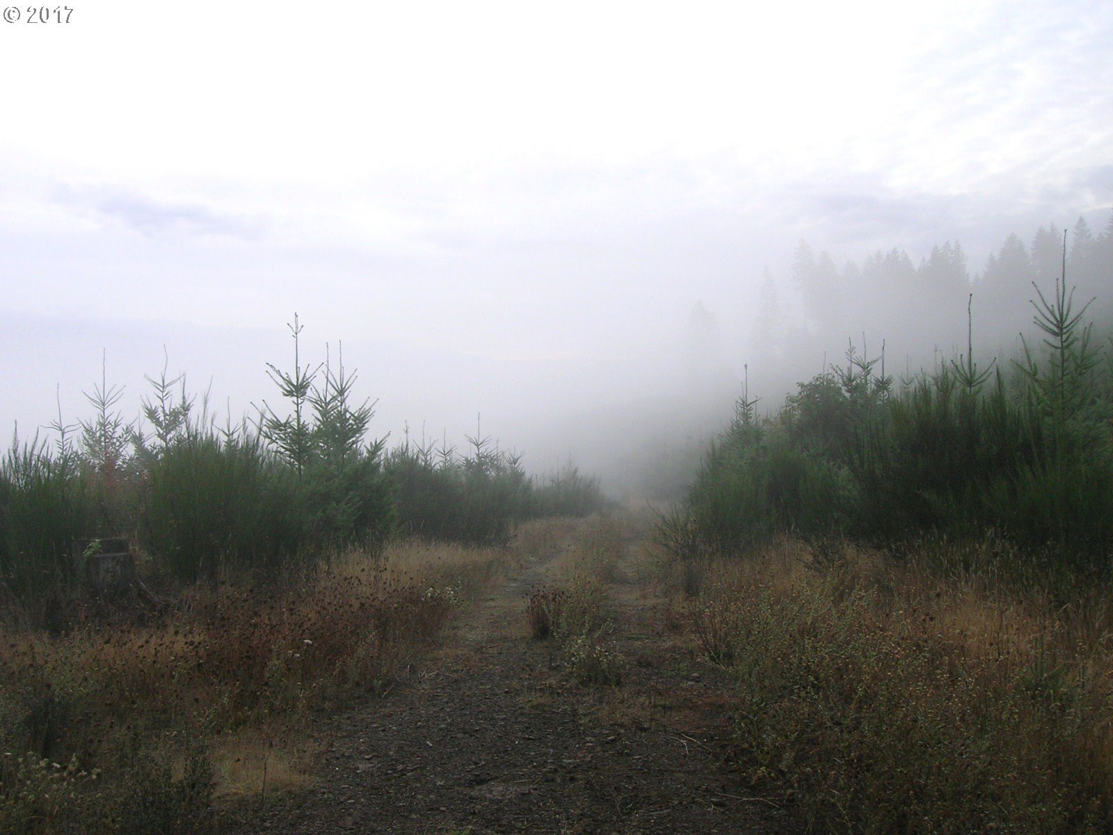 Northwest Hayward Road Banks, OR 97106 - Photo 23 of 24 Gallery Image 23