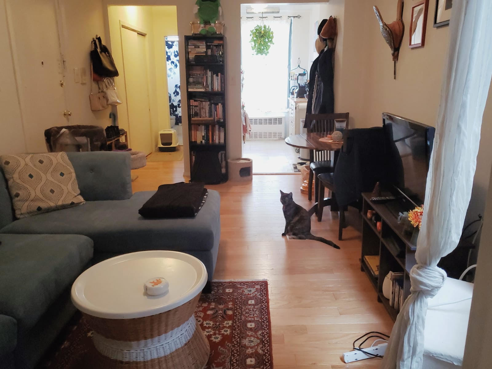 323A East 89th Street, Unit 5E Manhattan, NY 10128 - Photo 1 of 7