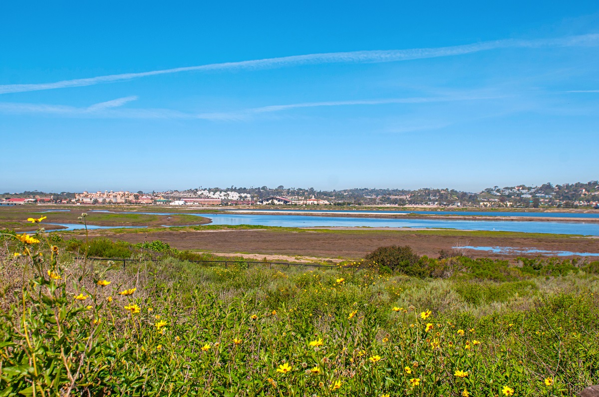 13414 Racetrack View Court Del Mar, CA 92014 - Photo 14 of 16