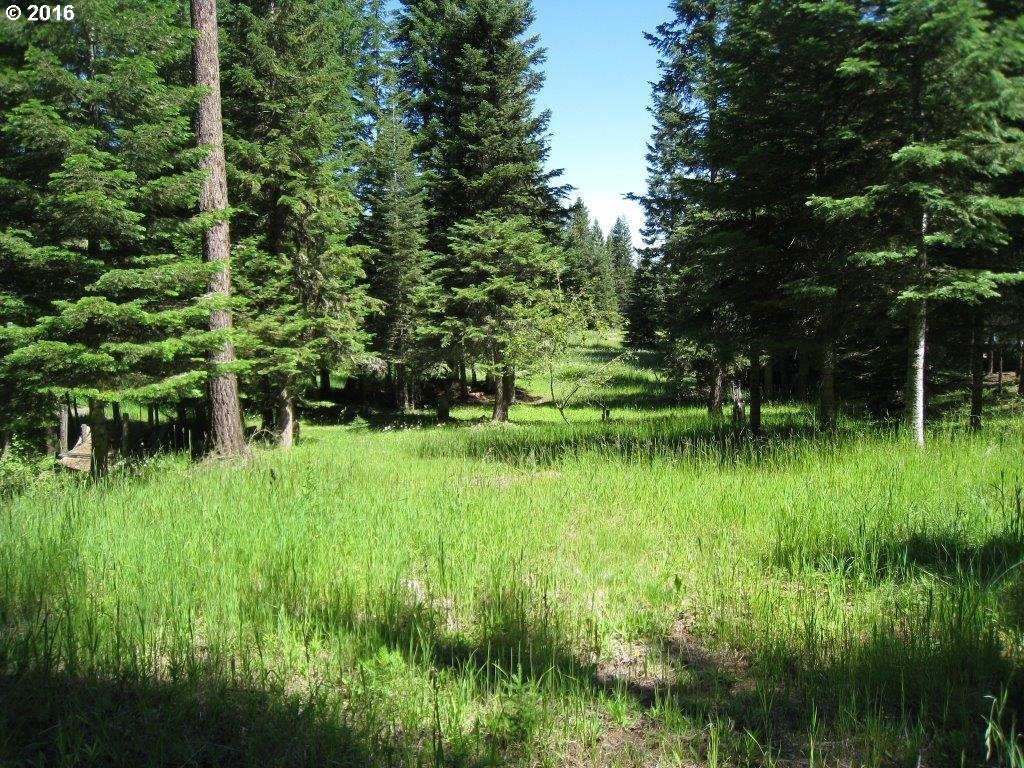 61099 Old Ski Run Road Joseph, OR 97846 - Photo 7 of 17 Gallery Image 7