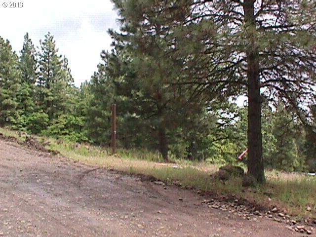 Logging Gulch Road Dufur, OR 97021 - Photo 4 of 5 Gallery Image 4