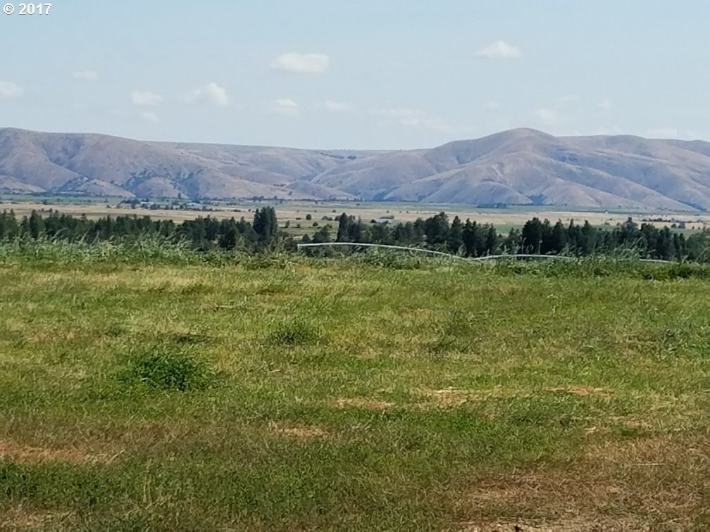 79263 Ayres Road Tygh Valley, OR 97063 - Photo 25 of 31 Gallery Image 25