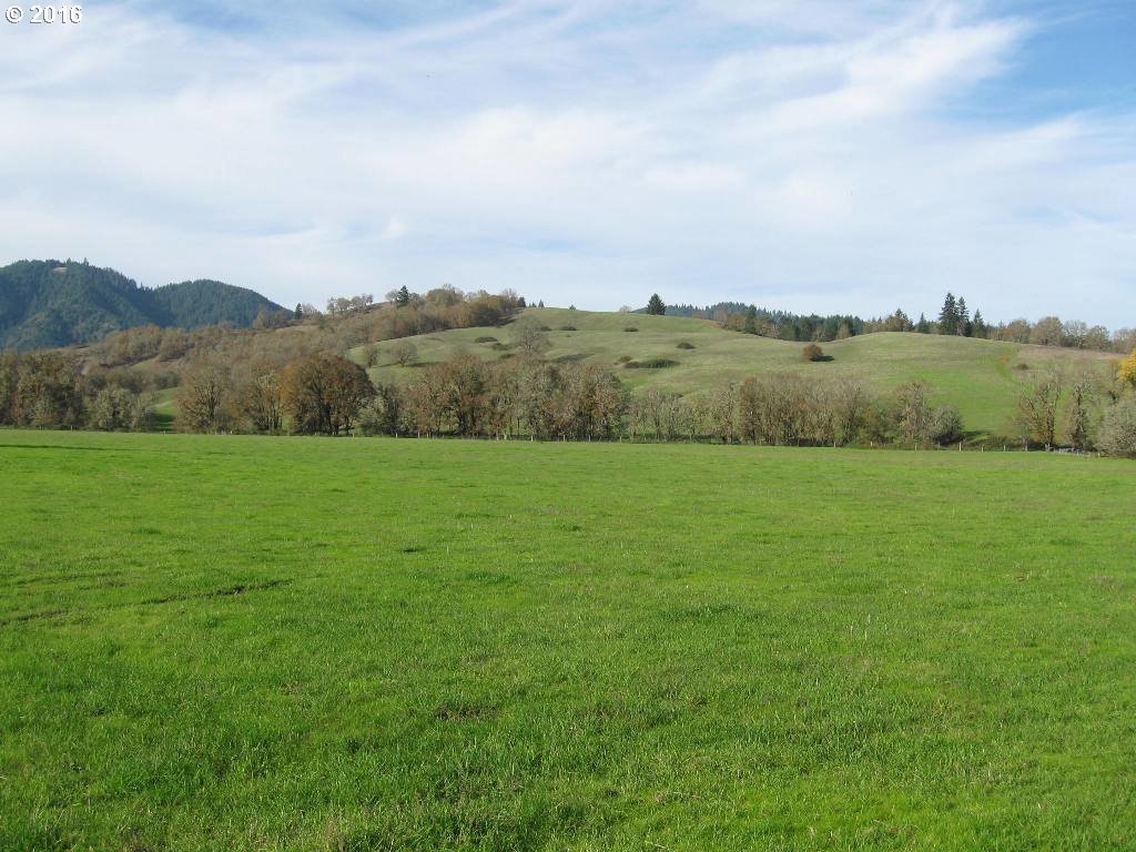 0 Sparks Road Oakland, OR 97462 - Photo 4 of 18 Gallery Image 4