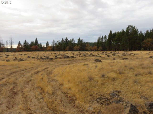 England Drive Goldendale, WA 98620 - Photo 2 of 13
