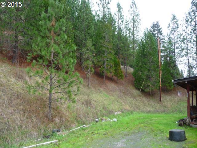 1241 Canyonville-Riddle Road Riddle, OR 97469 - Photo 5 of 13
