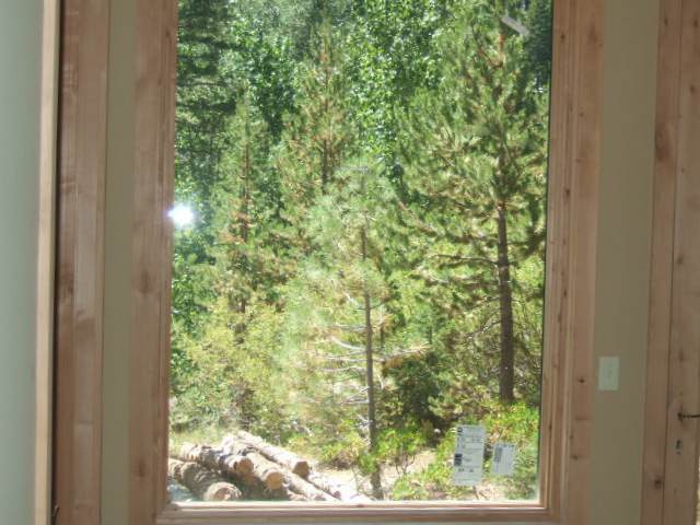 1441 Beaver Dam Trail Alpine Meadows, CA 96146 - Photo 9 of 9