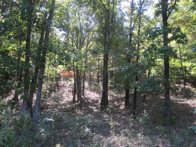 80 Jackson Road Senatobia, MS 38668 - Photo 16 of 18 Gallery Image 16