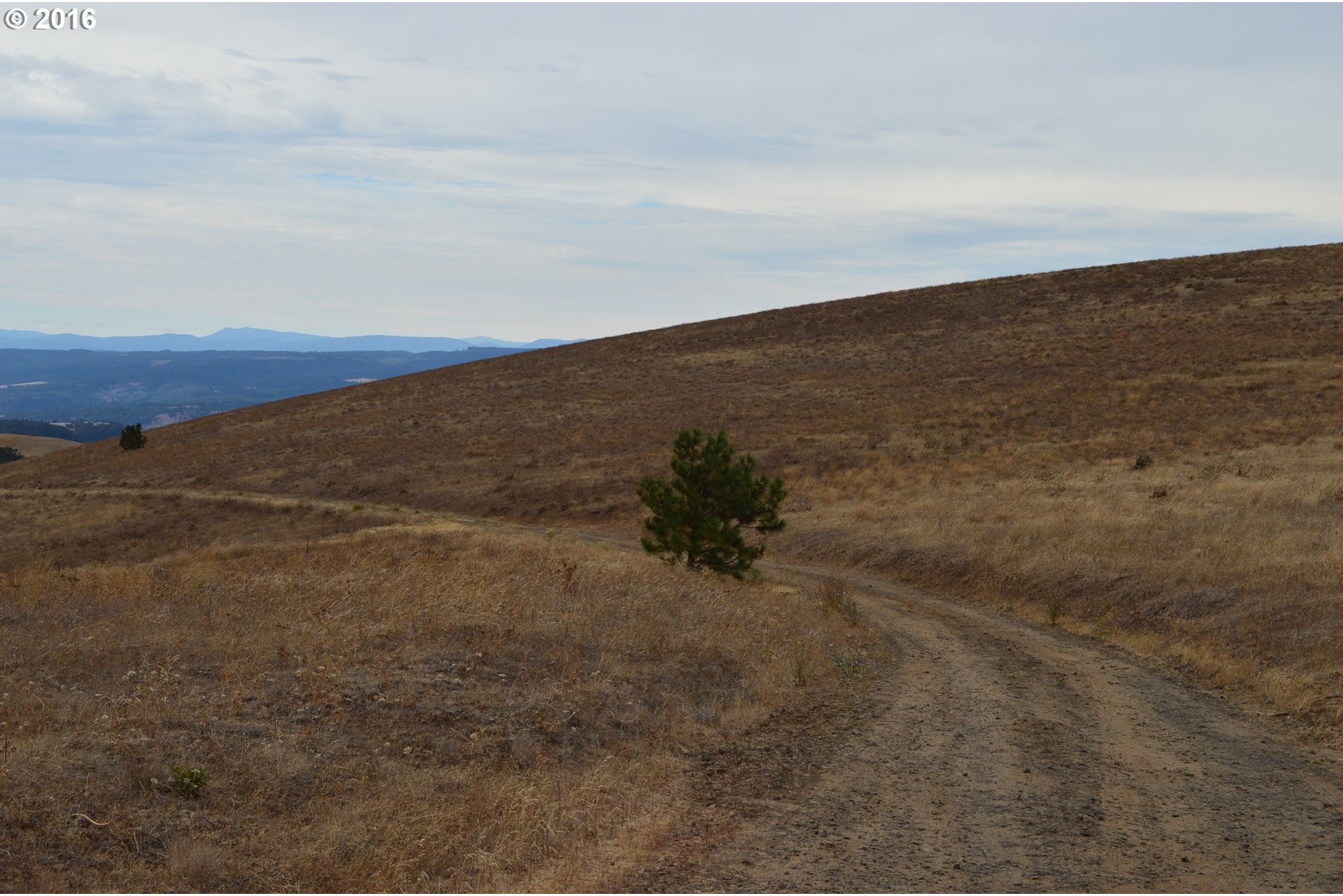 103 Stacker Butte Road Lyle, WA 98635 - Photo 16 of 17 Gallery Image 16