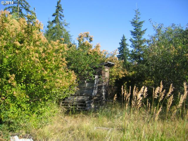 22 Forty Line Road Appleton, WA 98602 - Photo 2 of 4 Gallery Image 2