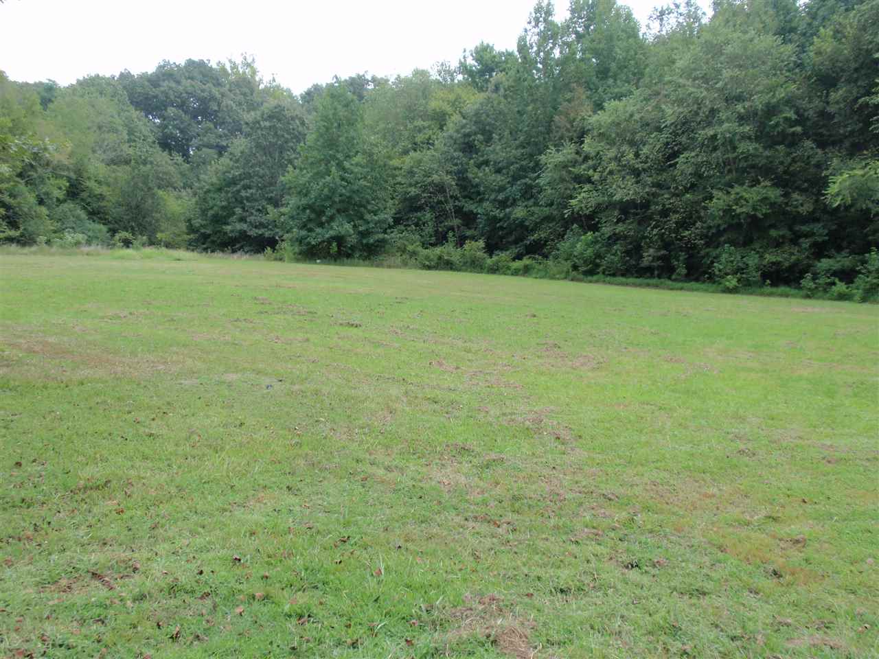 375 Country Club Road Somerville, TN 38068 - Photo 5 of 25 Gallery Image 5