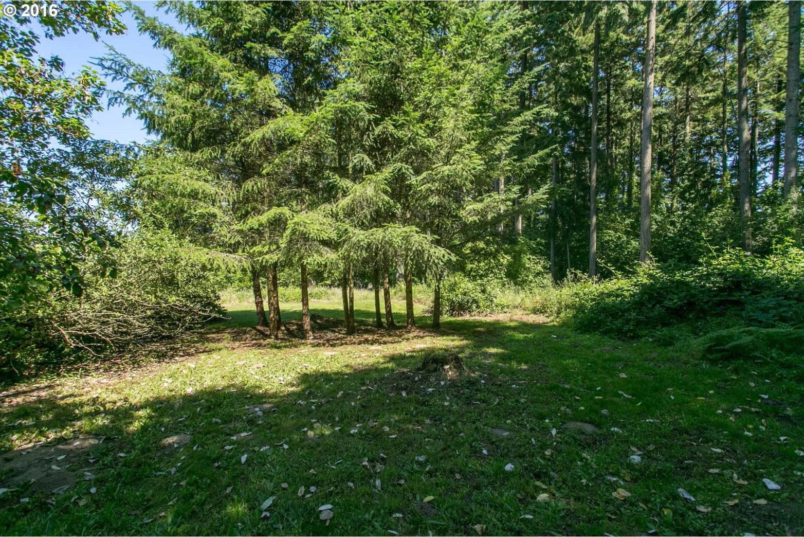 18390 Southwest Seiffert Road Sherwood, OR 97140 - Photo 13 of 25 Gallery Image 13
