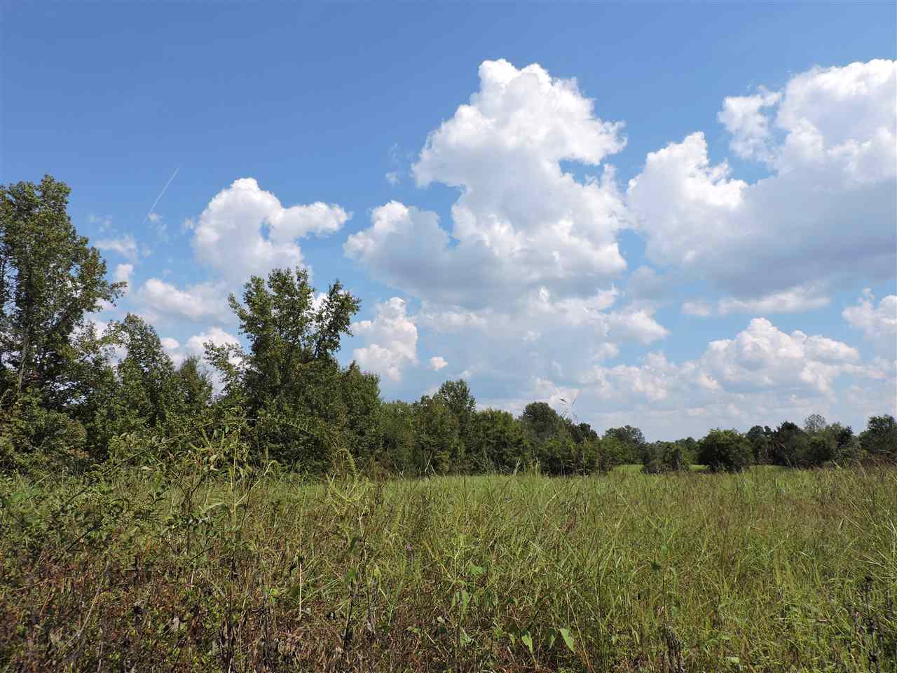0 Moose Road Millington, TN 38053 - Photo 1 of 4