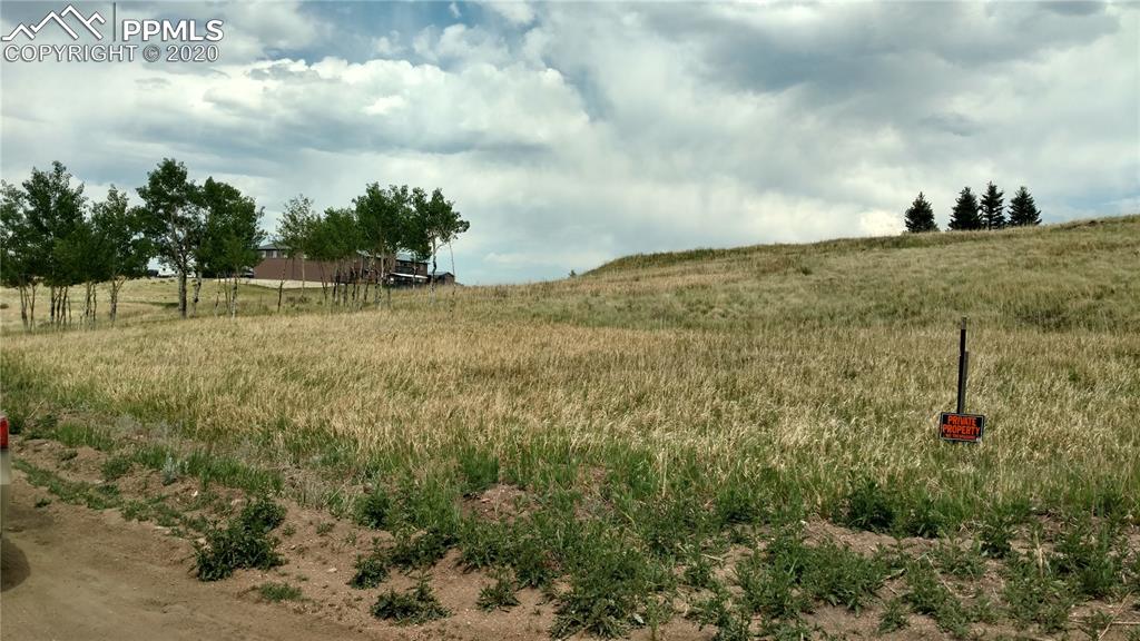 34 Herald Lane Divide, CO 80814 - Photo 5 of 16