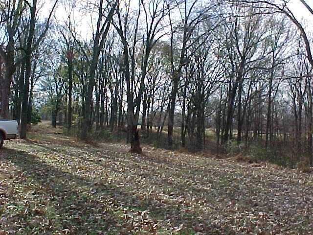 5876 Walsh Road Millington, TN 38053 - Photo 3 of 7