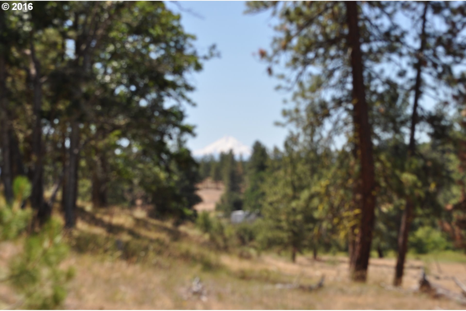 29 Hideaway Road Goldendale, WA 98620 - Photo 4 of 7 Gallery Image 4