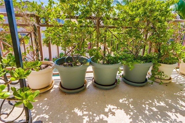 10 Salvo Irvine, CA 92606 - Photo 29 of 50