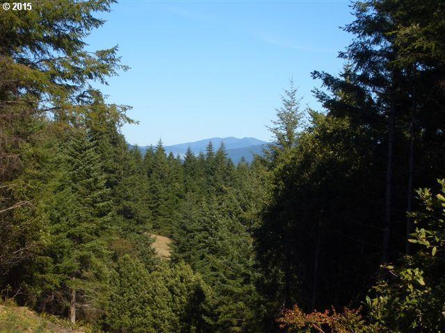 Grizzly Mountain Road, Unit 3A Gold Beach, OR 97444 - Photo 7 of 19 Gallery Image 7
