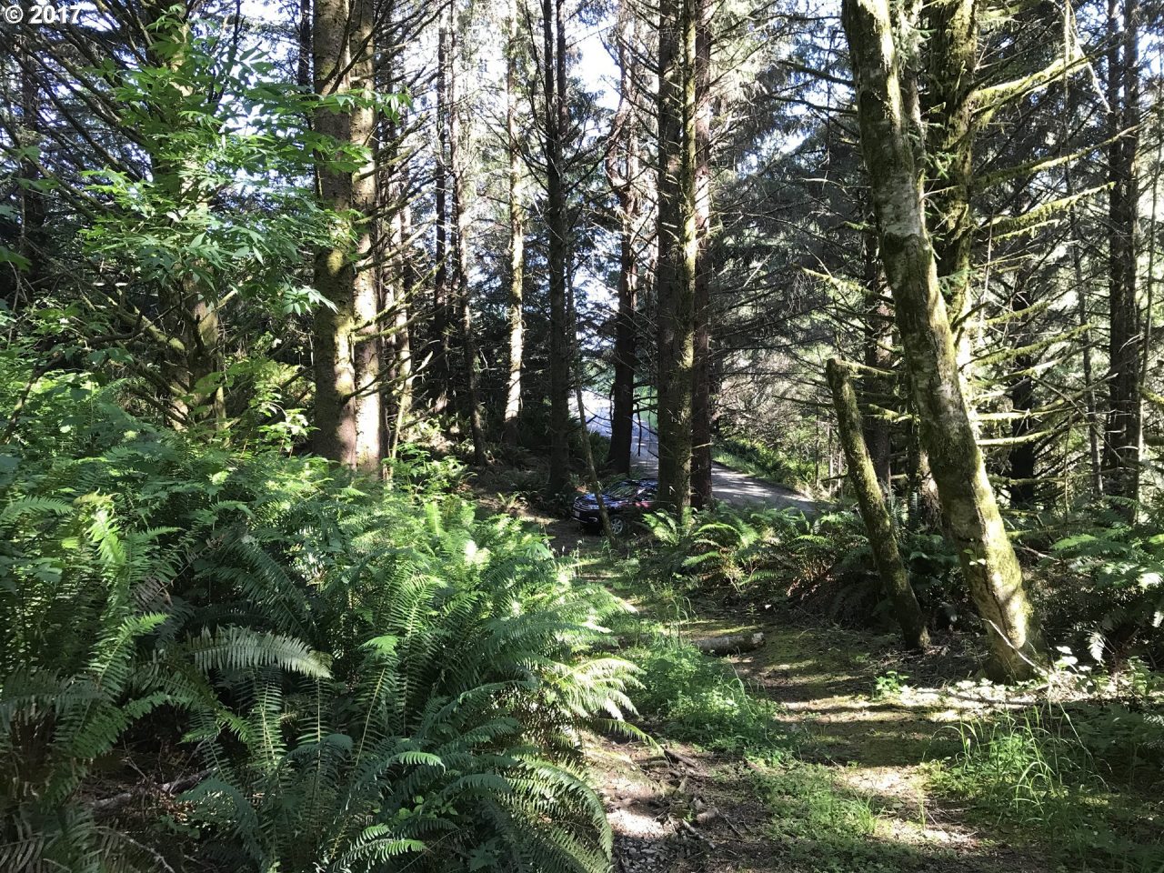 Whaleshead Road, Unit 500 Brookings, OR 97415 - Photo 14 of 17