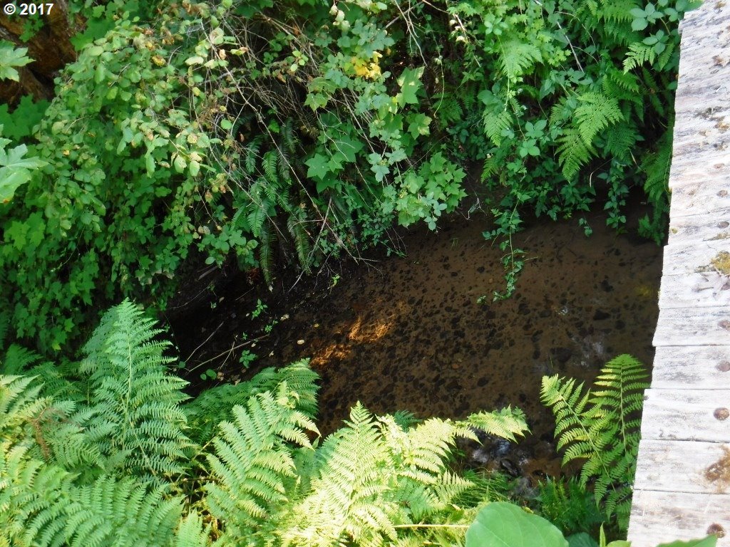 576 Upper Smith River Road Drain, OR 97435 - Photo 28 of 32 Gallery Image 28