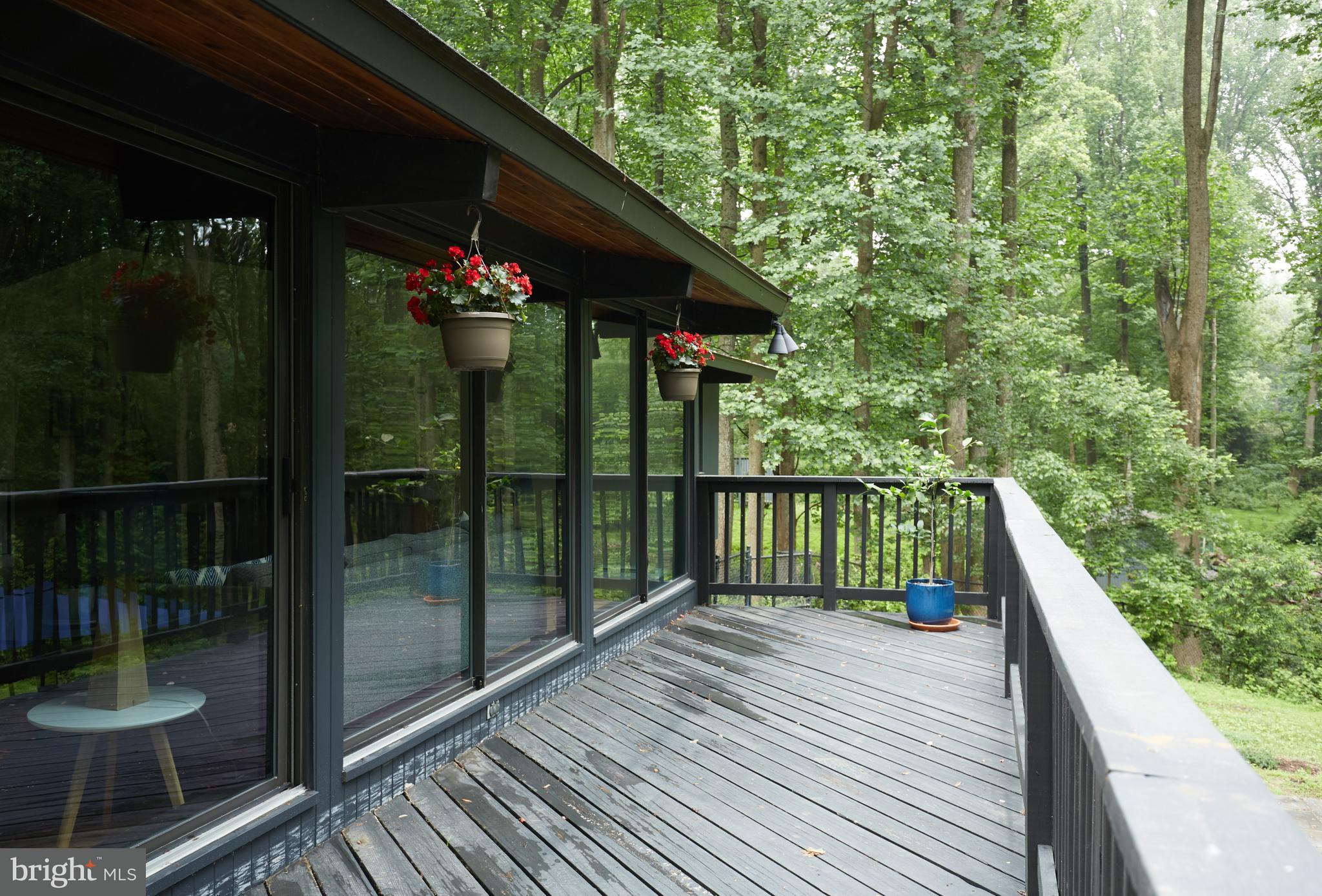 11620 River Road Potomac, MD 20854 - Photo 24 of 30