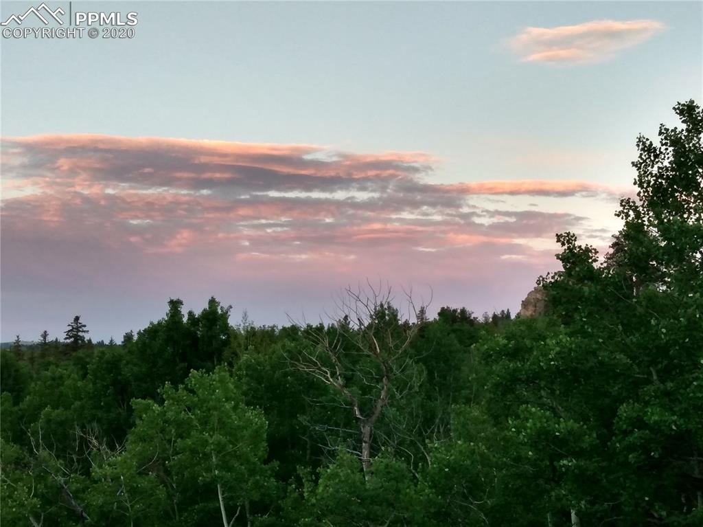 1391 Ute Trail Como, CO 80456 - Photo 28 of 30