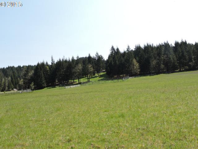 7230 Rice Valley Road Yoncalla, OR 97499 - Photo 14 of 16 Gallery Image 14